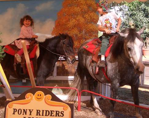 pumpkin patch pony ride