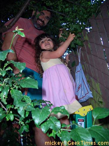 Lila & Papa in plum tree