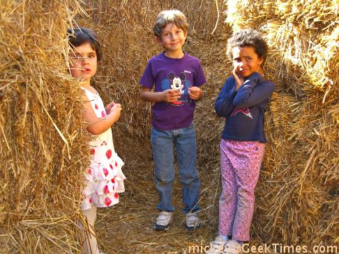 arata - in the hay maze