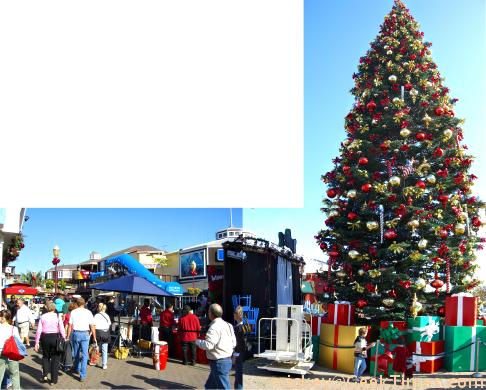 Pier 39 - Christmas tree