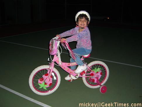 Lila bicycles