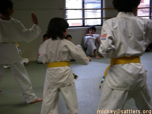 Lila takes her orange belt Hapkido test