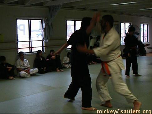 Hapkido: Lila & Mickey's green-belt test