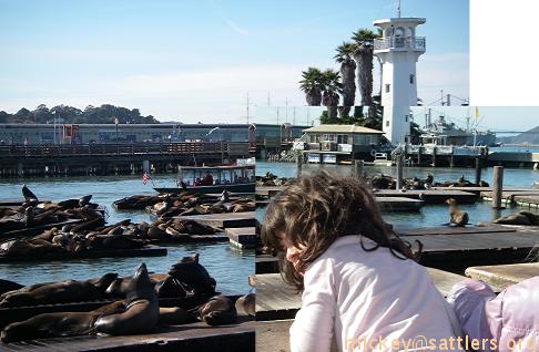 Lila watching seals at Pier 39