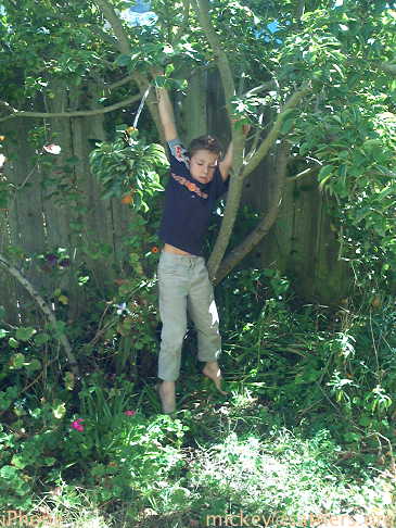 Isaac climbs trees