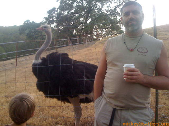 Safari West: Mickey & ostrich