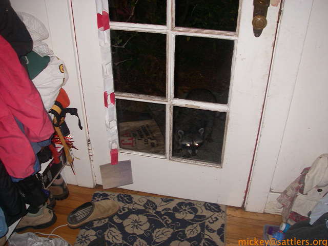 racoon eyes at the front door
