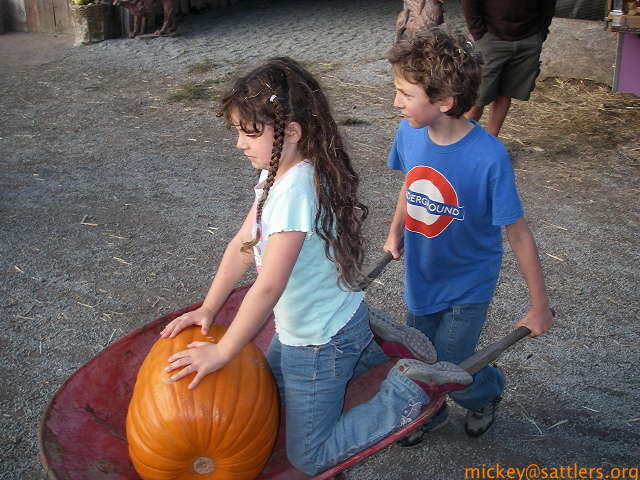 Arata's Pumpkin Patch: wheelbarrow rides