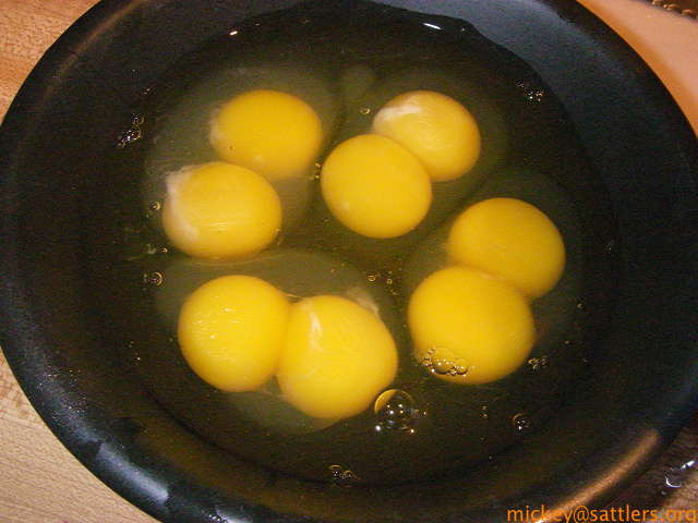 double yolk twin eggs