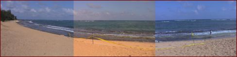 Coconut Beach Resort beach view