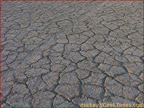 the cracked playa surface