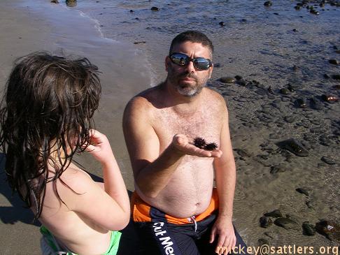 Gran Canaria: Maspalomas sea urchins