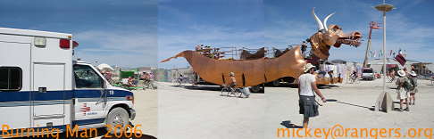 Burning Man 2006: golden calf in Center Camp ring road