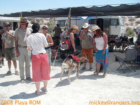 Burning Man 2008 Playa ROM - goats!