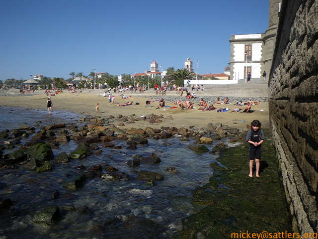Gran Canaria 2008: 